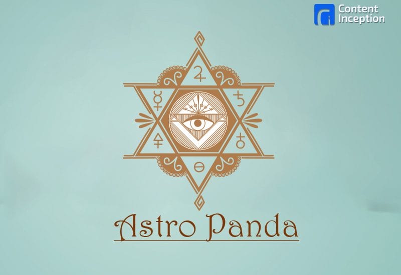 Astro Panda
